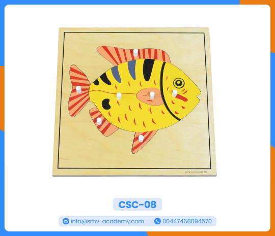 بازل أجزاء السمكة